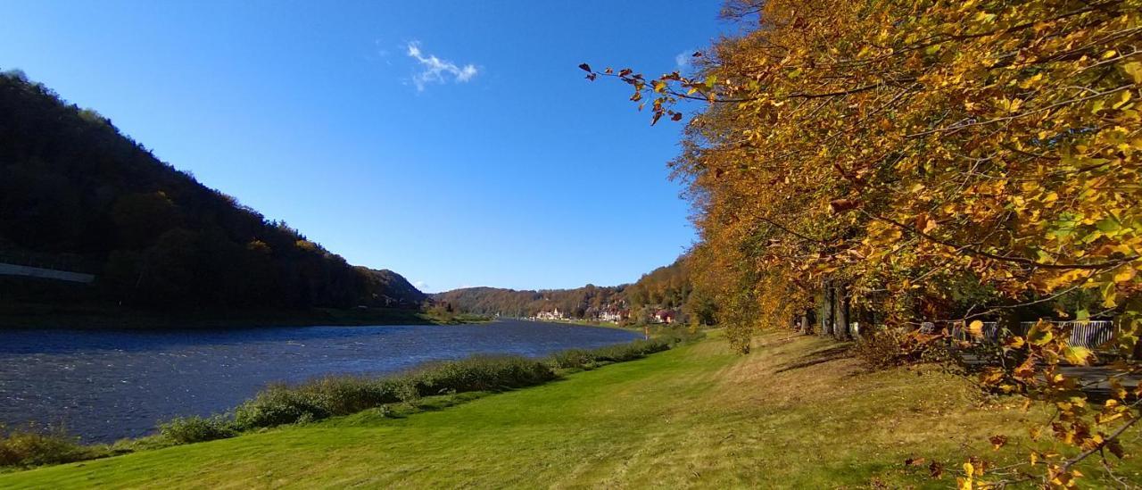 Ferienwohnung An Der Elbe Stadt Wehlen Exteriör bild