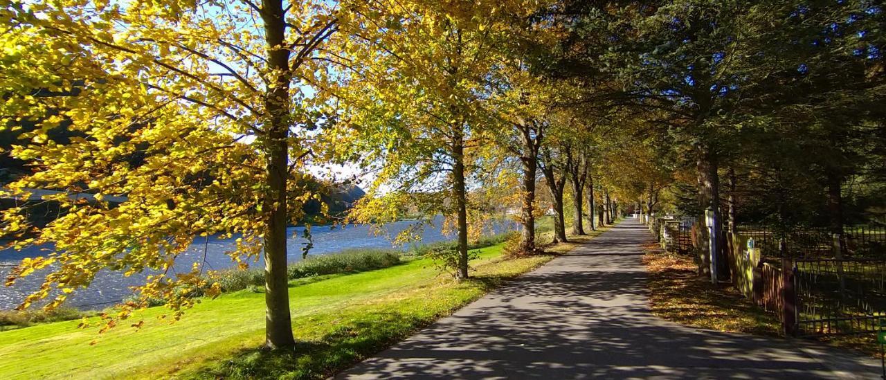 Ferienwohnung An Der Elbe Stadt Wehlen Exteriör bild